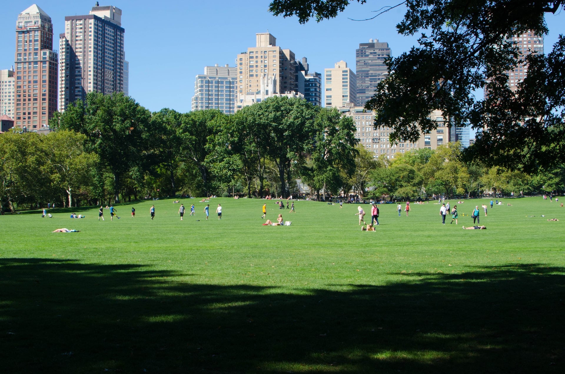 photo of busy park in city representing municipal land expropriation