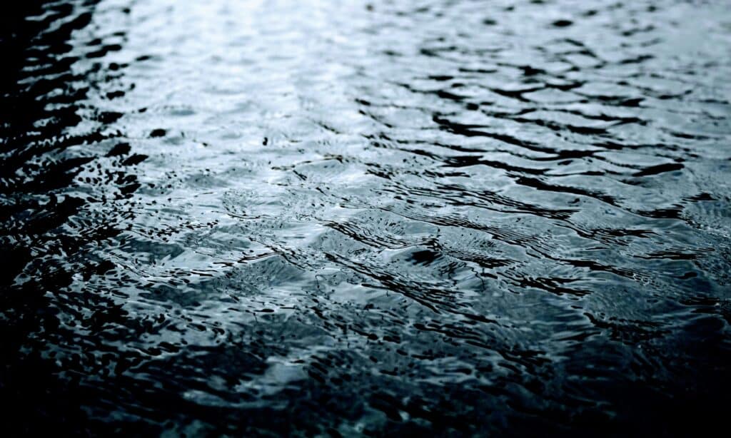 Dark water, representing The Impact of Natural Disasters on Ontario Employers