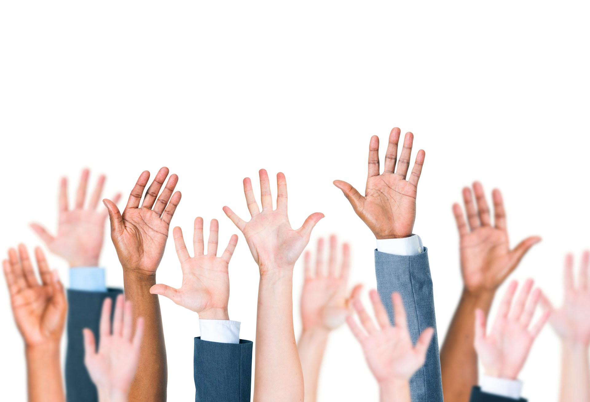 Several people's hands raised, representing Unanimous Shareholder Agremeents for SMEs in Windsor-Essex County.